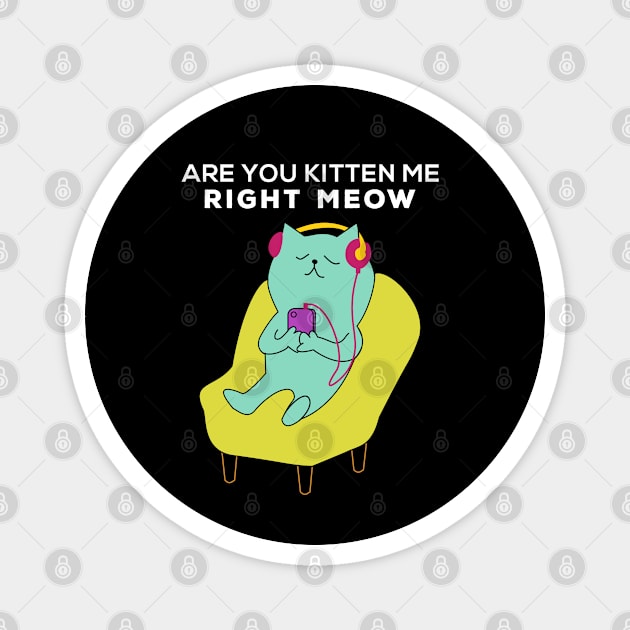 Are you kitten me right meow Magnet by Gorilla Designz